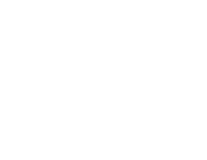 Institute of Fundraising Corporate Supporter